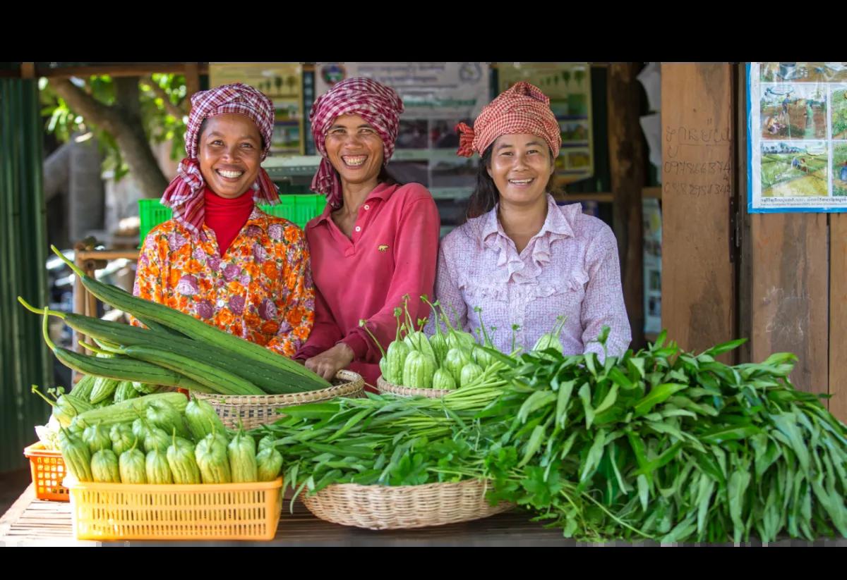2016 Chor Sokunthea/ Asian Development Bank