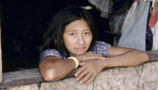 Expert Group Meeting on Sustainable Development in Territories of Indigenous Peoples