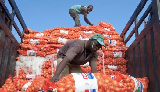 2021 International Day of Cooperatives: Rebuild better together