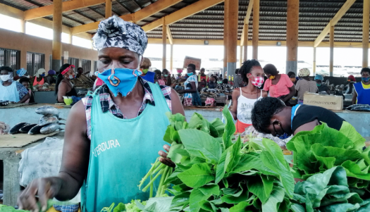 Transforming agrifood systems and fostering inclusive rural development in the context of COVID-19 to end rural poverty